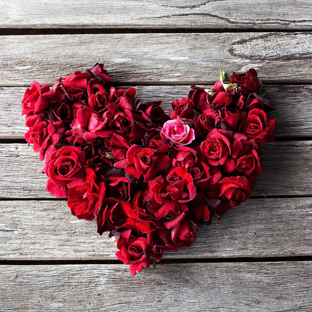 What is Love?